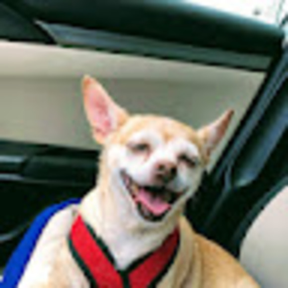 Meet your Posher, Beatriz b - Picture 1 of 1